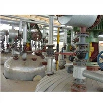 Gléasra Táirgthe Sóidiam Silicate